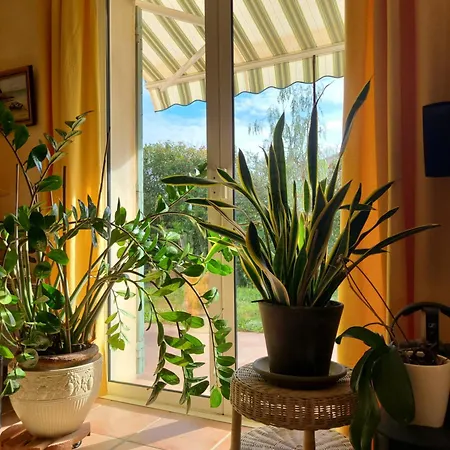 Villa Aurea *
