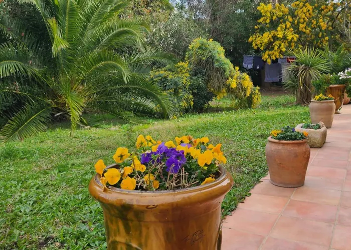 Aurea Villa *